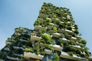 Introduction to Bio-based Construction